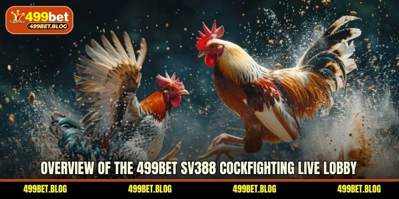 Overview of the 499BET SV388 Cockfighting live lobby