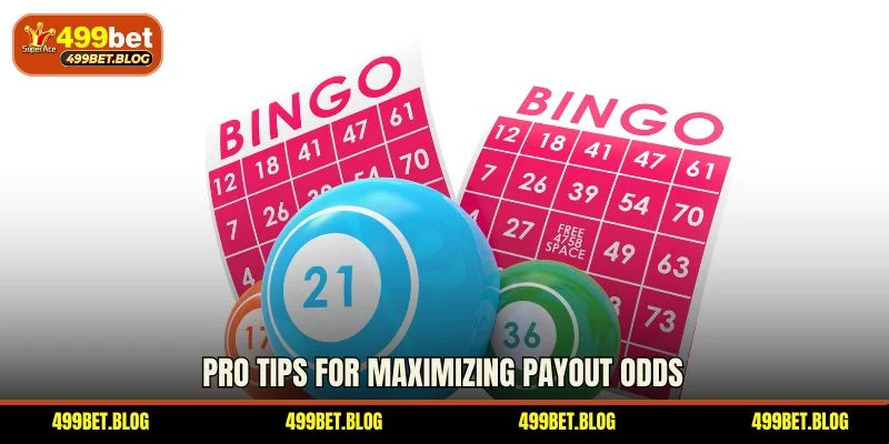 Pro tips for maximizing payout odds