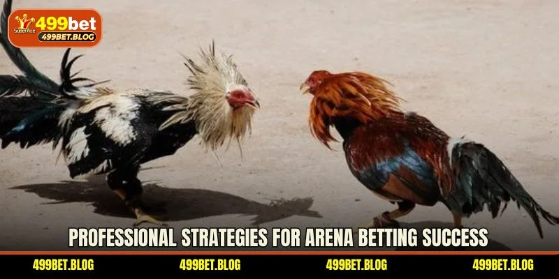 Professional strategies for arena betting success