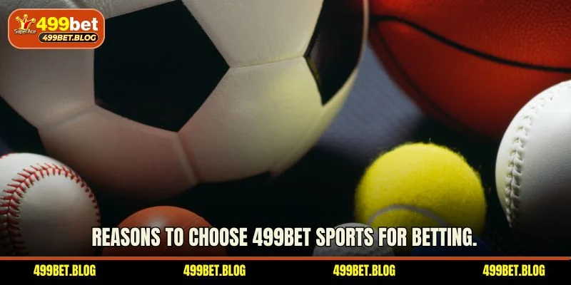 Reasons to choose 499BET sports for betting.