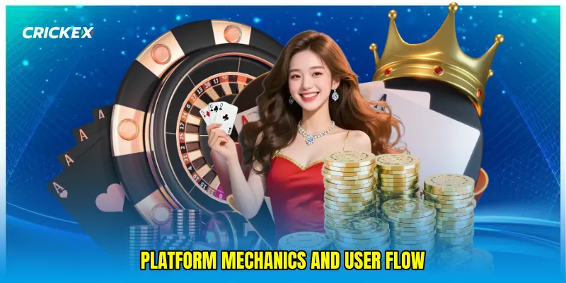 Platform Mechanics and User Flow
